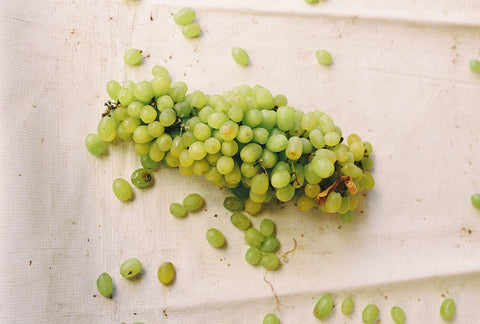 Fresh green grapes
