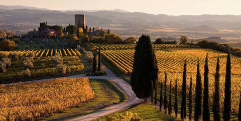 IGT & Toscana Rossos