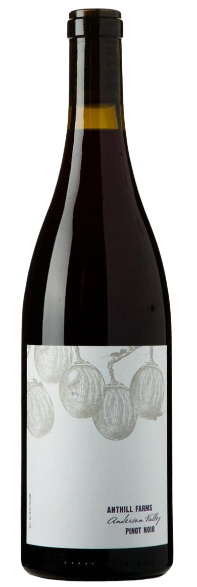 Anthill Farms Anderson Valley Pinot Noir 2023